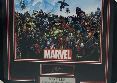 Framed Marvel Comics